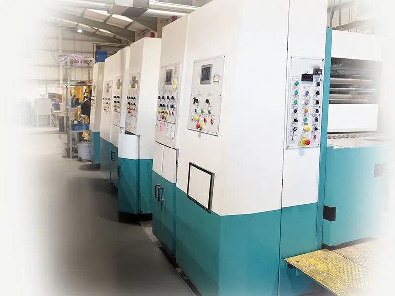 Two-colour flexographic printing on corrugated packaging at Tradepack